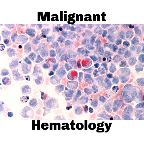 Malignant Hematology